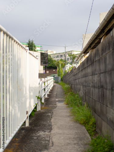 Wallpaper Mural 用水路沿いの狭い道 Torontodigital.ca