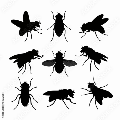 Fly silhouettes set, insect pest control graphic