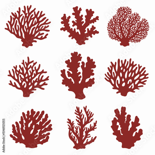 Coral reef silhouettes ocean sea life nature