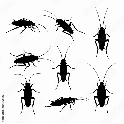 Cockroach black silhouettes pests bug insect