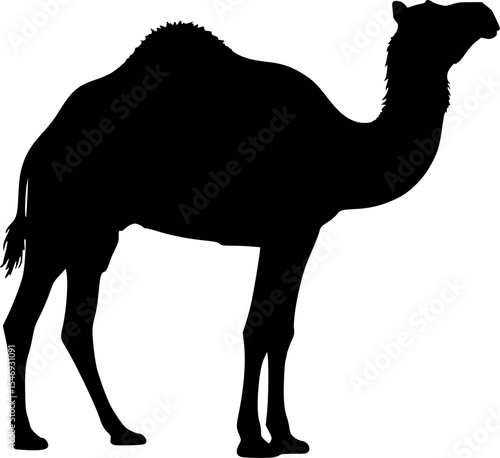 Arabian Camel silhouette Illustration Vector
