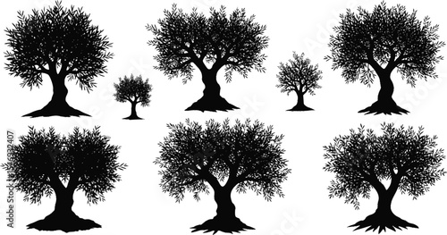 Olive Tree Silhouette Vector Illustration Set
