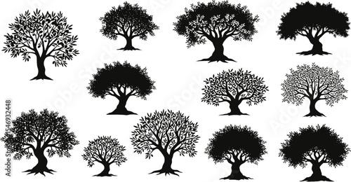 Olive Tree Silhouette Vector Illustration Set

