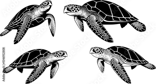 Sea turtle Silhouette Vector Illustration Set
