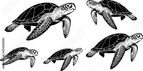 Sea turtle Silhouette Vector Illustration Set
