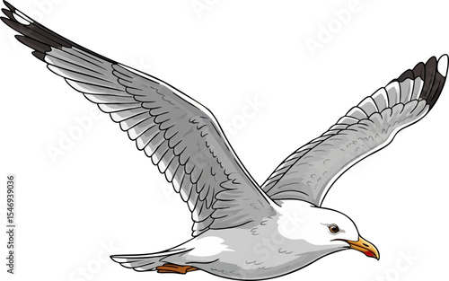The Seagull
