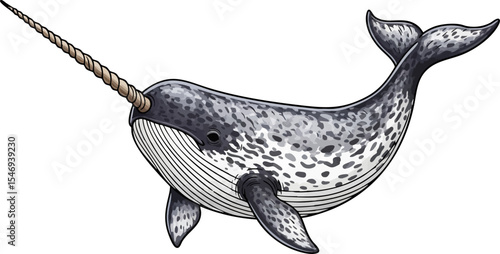 Narwhal