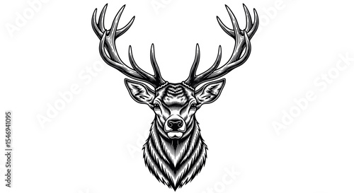 Detailed Black and White Deer Head Illustration with Prominent Antlers Facing Forward Isolated on a White Background Animal Concept Art