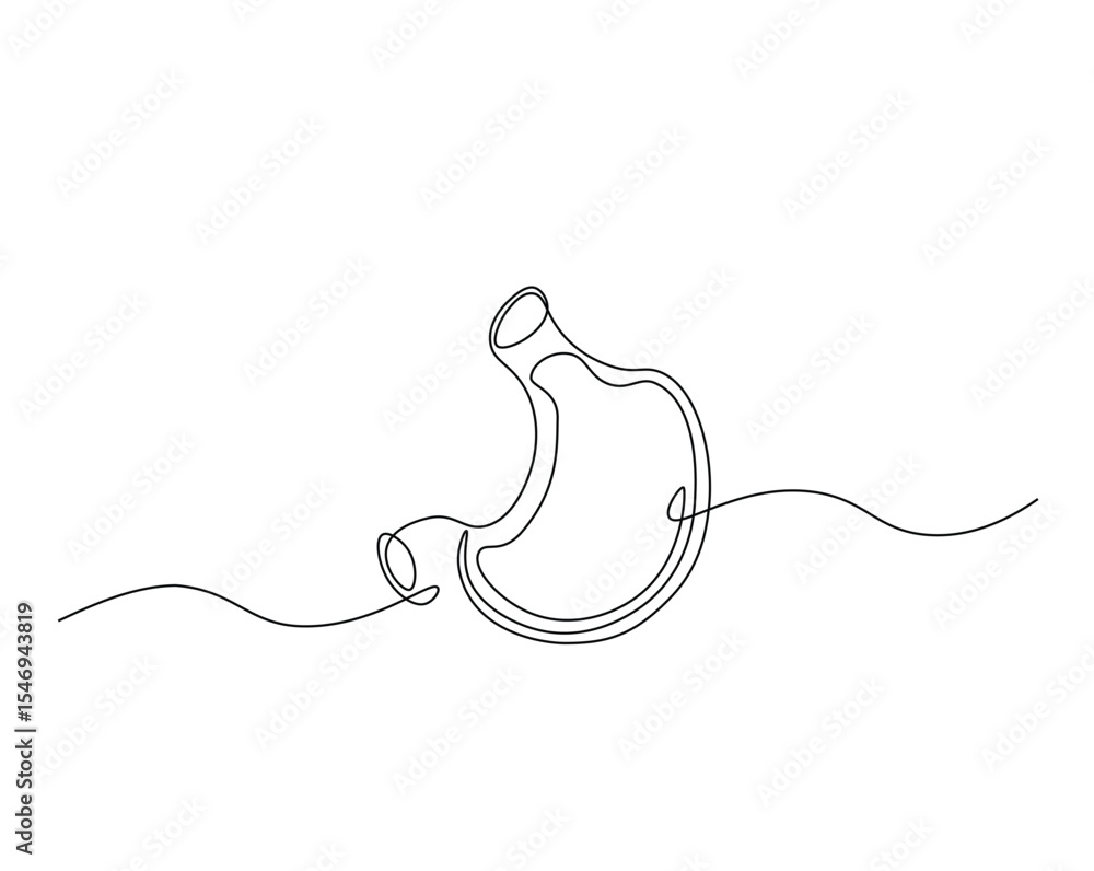 Obraz premium Human stomach organ outline drawing illustration. one continuous line drawing of stomach.