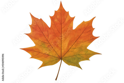 Wallpaper Mural Colorful maple leaf with transparent background, capturing the essence of fall with its vibrant hues of orange, yellow, and green Torontodigital.ca