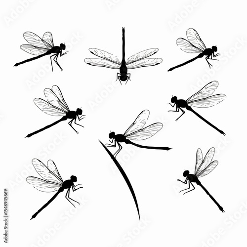 Dragonfly silhouettes in various positions on white