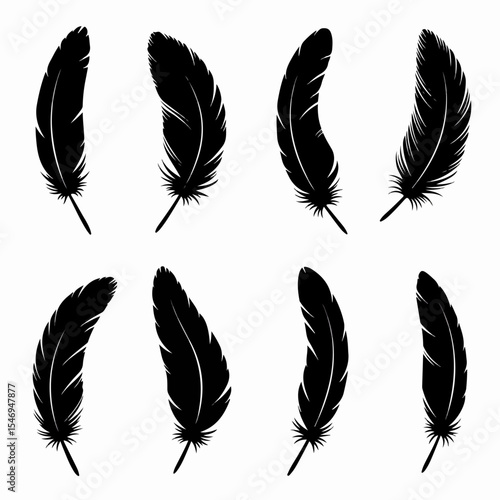 Black feathers silhouettes bird quill ink feathering