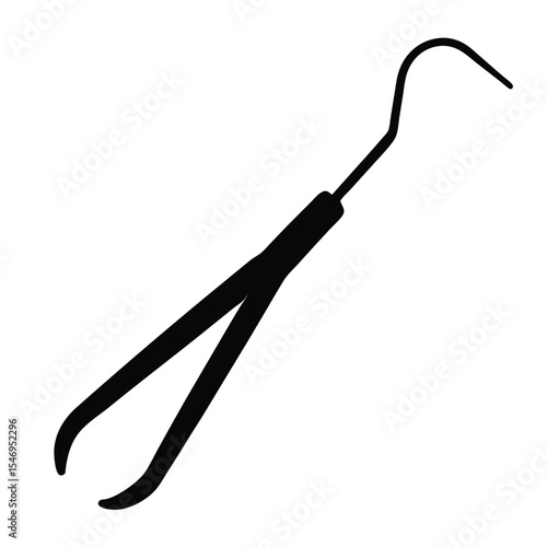 dental hygienist element isolated dental pickup two on white background
