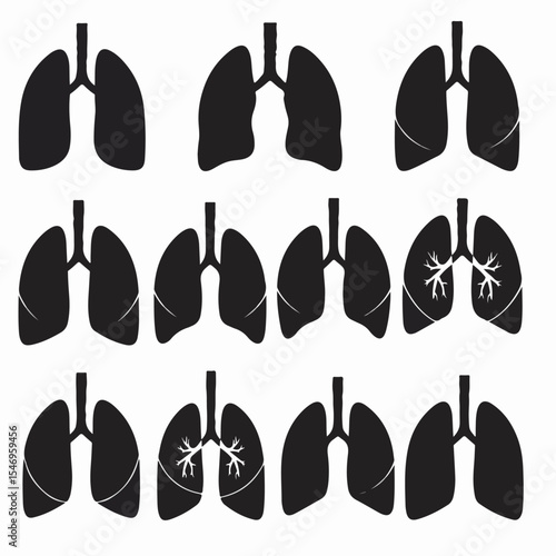 Lungs anatomy health organ respiratory system medical