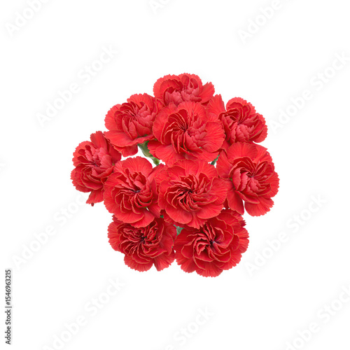 Wallpaper Mural Red bouquet of carnations, ideal for romantic gestures, special events, or memorial tributes. Torontodigital.ca