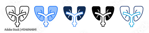 Urology multiple icon