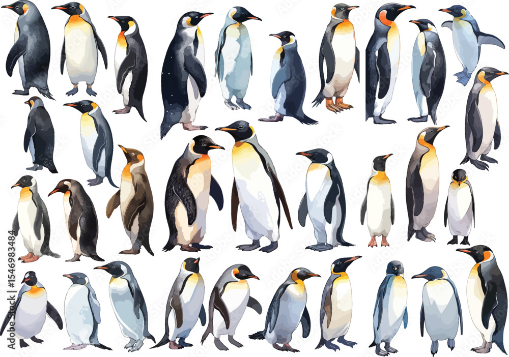 Obraz premium penguin watercolor clipart | penguin clipart for graphic resources