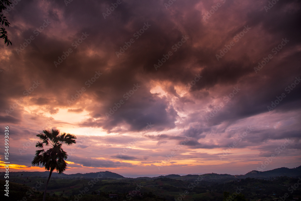 Scenic view dramatic beautiful sunset sky. Natural Sunset Sunrise on meadow silhouette shadow dark land. Vibrant dramatic sky on sunset, dawn, sunrise in Countryside. Landscape Colorful Sky At Sunset Scenic view dramatic beautiful sunset sky. Natural Sunset Sunrise on meadow silhouette shadow dark land. Vibrant dramatic sky on sunset, dawn, sunrise in Countryside. Landscape Colorful Sky At Sunset