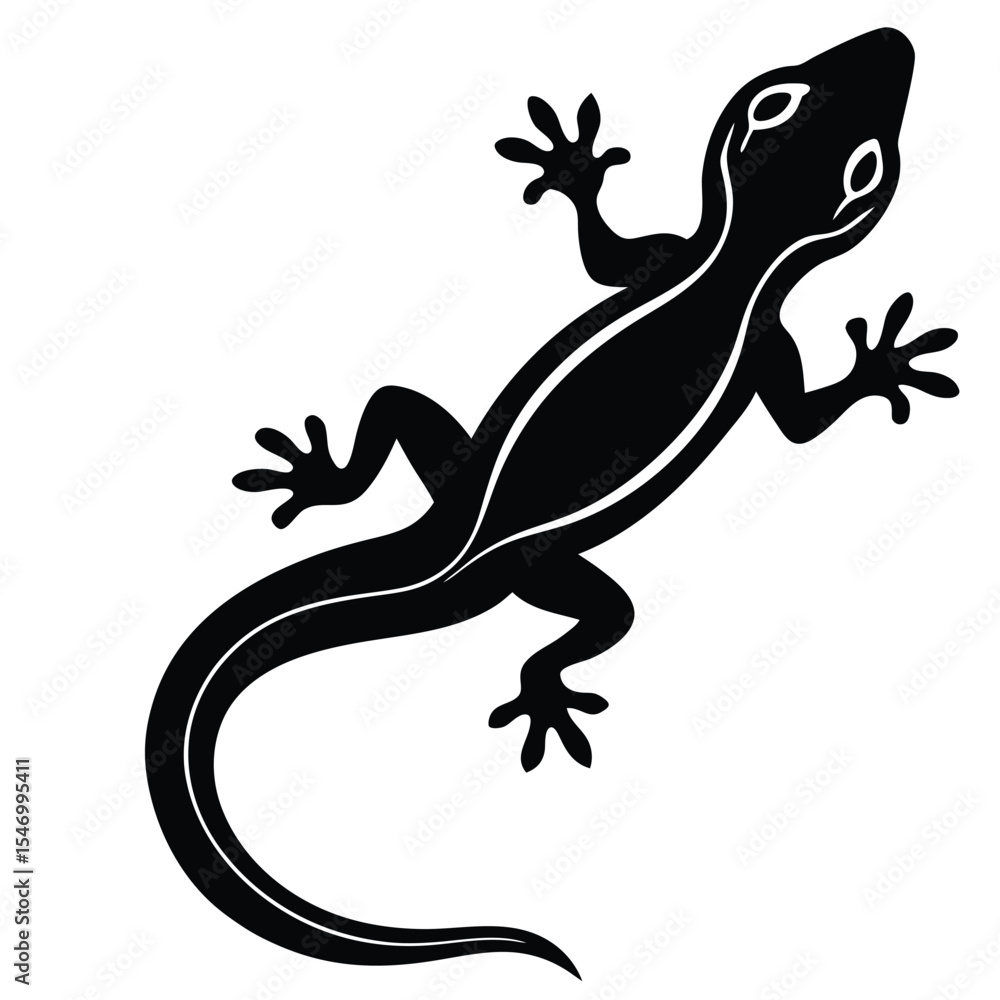 Fototapeta premium Lizard isolated on white background showing reptile wildlife silhouette with tail and natural details