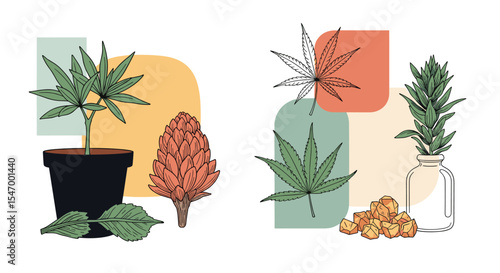 A collection of cannabis plants and products in vector design style artwork