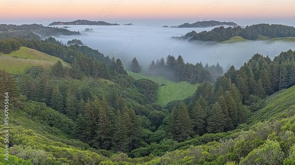 Naklejka premium Green Forest and Mist Landscape Scenery in Nature