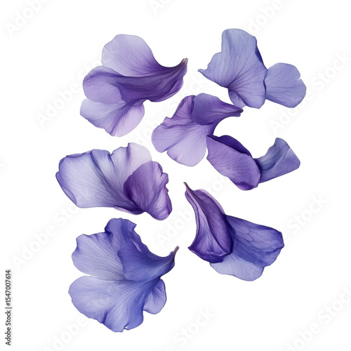Close up of purple flower petals