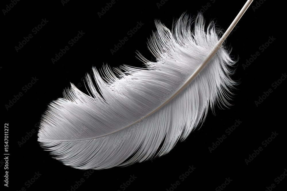 Obraz premium Close-up view of a delicate white feather with a smooth quill and soft barbs isolated on a black background for detailed texture and natural beauty