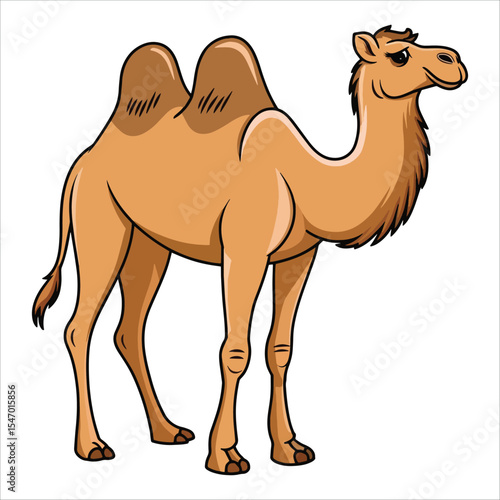 Camel illustration on white background. Desert animal vector for safari and Middle Eastern themes.
