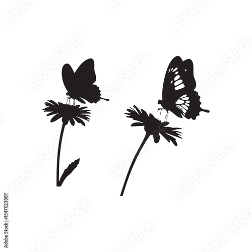 Minimalist black silhouette of two butterflies landing on a daisy flower with wide open wings