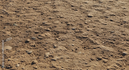 Close-Up Texture of Dry, Rocky Soil with Embedded Stones