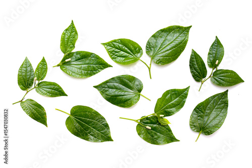Fresh wild betel leaves with flower