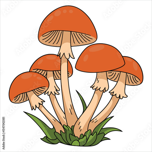 Cluster of honey fungus mushrooms illustration. Ideal autumn forest food icon for foraging guides and woodland cuisine concepts.