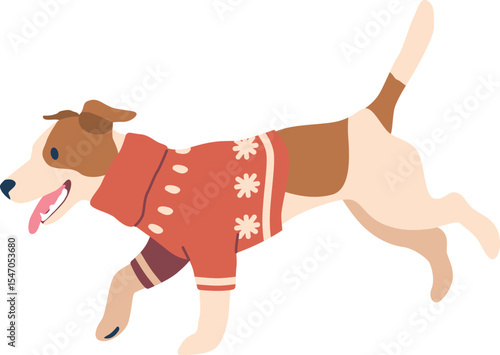 Christmas dog in knitted sweater