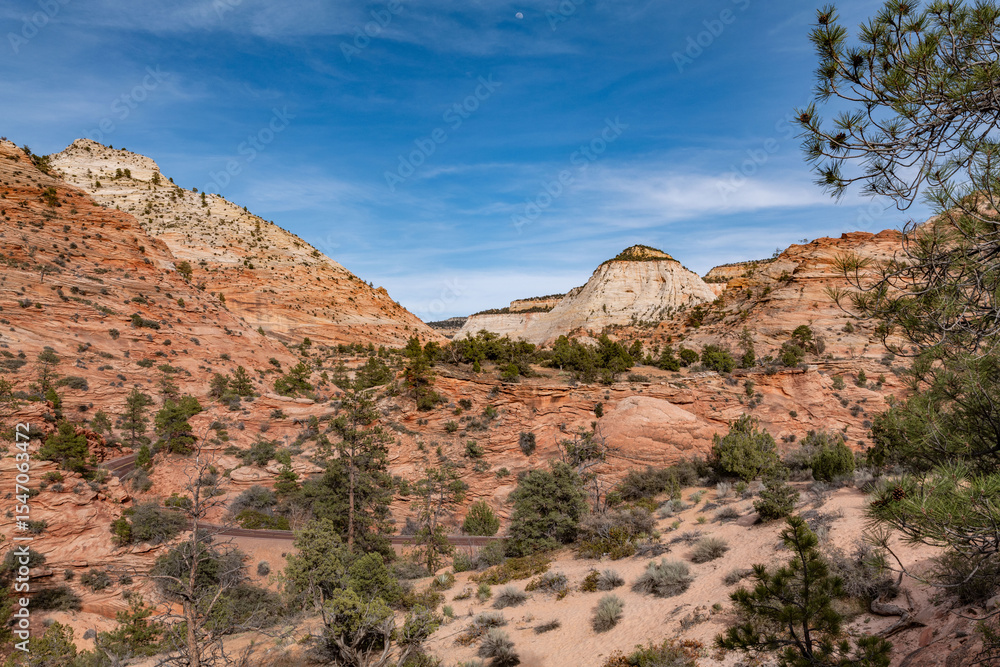 Fototapeta premium Zion National Park, Utah. Navajo Sandstone / Sedimentary rocks, cross-bedding / cross-stratification