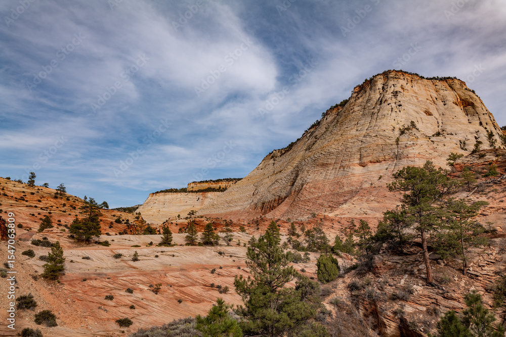 Fototapeta premium Zion National Park, Utah. Navajo Sandstone / Sedimentary rocks, cross-bedding / cross-stratification