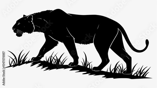 High contrast black silhouette of a tiger in stalking pose on transparent or isolated white background

