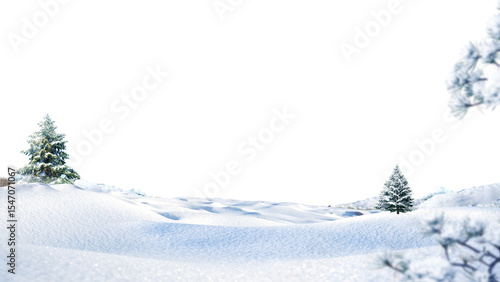christmas background with fir branches