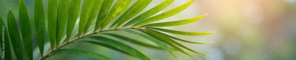 Close-up palm stem detail, subtle tropical accent on muted backdrop , tropical, photography, tone Close-up palm stem detail, subtle tropical accent on muted backdrop , tropical, photography, tone