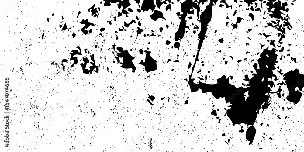 Grunge black and white vector background. Abstract monochrome texture pattern of cracks, scuffs, chips and scratches Grunge black and white vector background. Abstract monochrome texture pattern of cracks, scuffs, chips and scratches