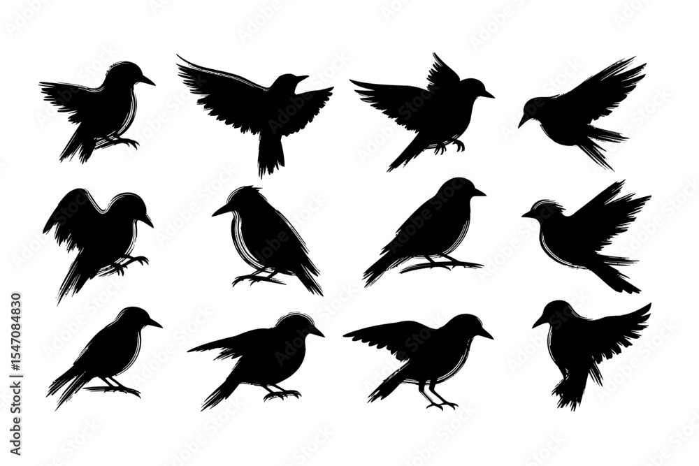 Fototapeta premium Birds Silhouettes Flying and Perched on White Background