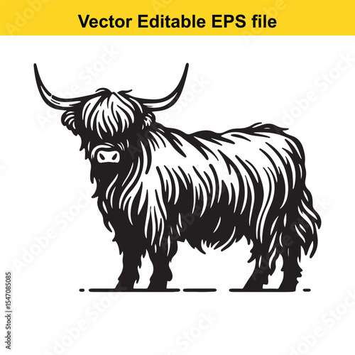 Monochrome Highland Cattle Illustration in Vector Style A Majestic Depiction of Scottish Breed Beauty