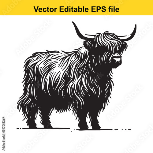 A Monochrome Vector Illustration of a Highland Cow A Detailed Silhouette of a Scottish Bovine Breed With Long Hair