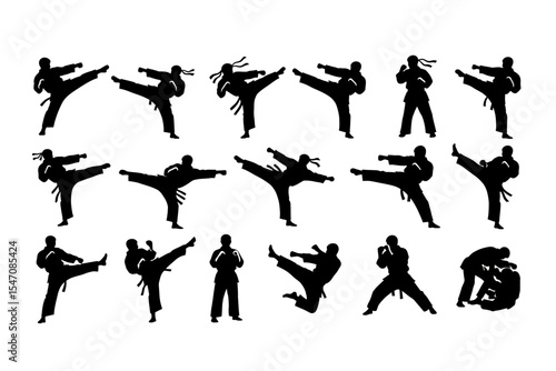 People Doing Martial Arts Silhouette Poses and Fighting