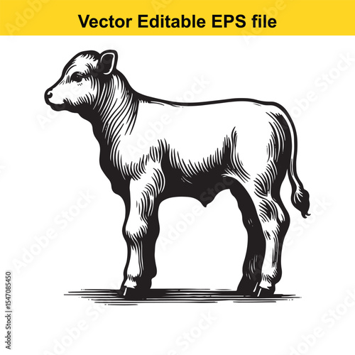 Monochrome Illustration of a Standing Calf a Detailed Black and White Depiction of a Young Bovine Animal