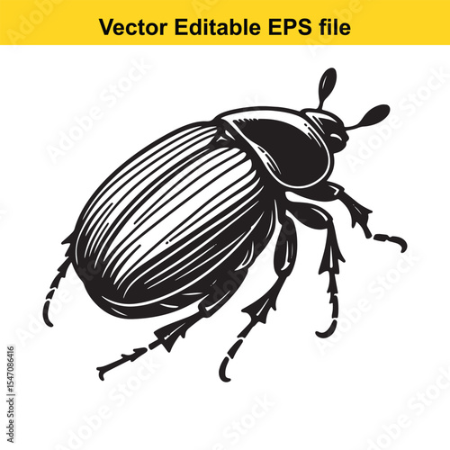 Detailed Black and White Illustration of a Dung Beetle Vector Image for Nature Enthusiasts and Insect Art Collectors
