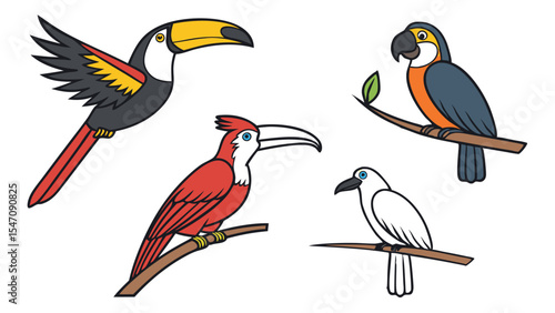 A collection of colorful cartoon birds including toucan, parrot, and hornbill illustration for design and decoration
