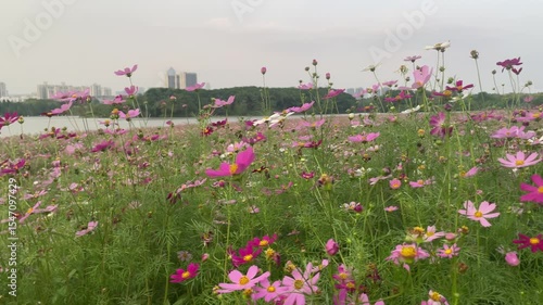 guangzhou skyline at sunset