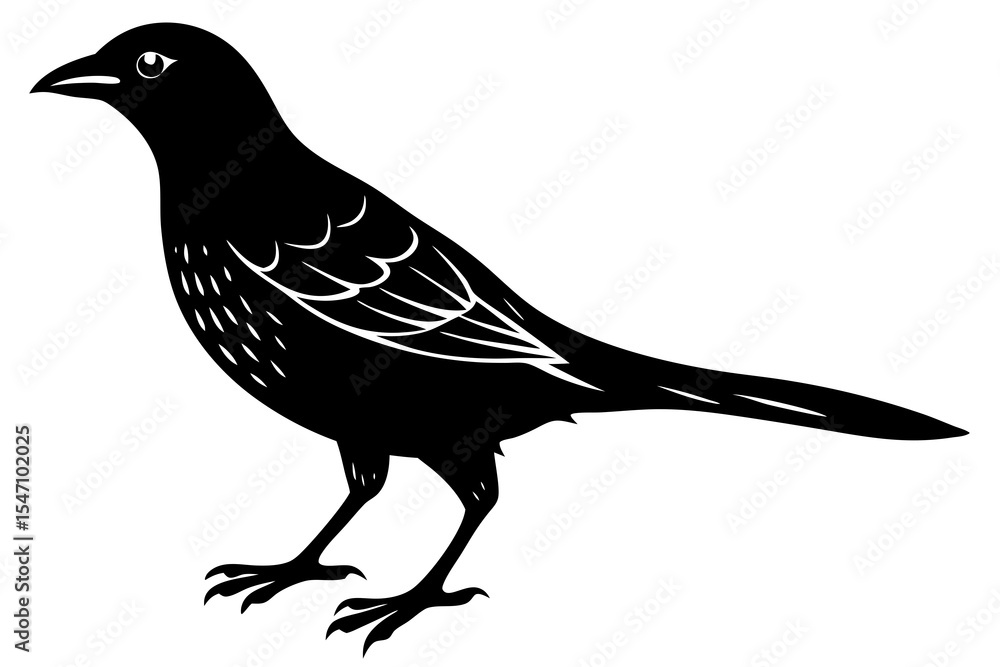 Obraz premium Silhouette Vector Art Illustration of Songbird -Cuckoo Artwork
