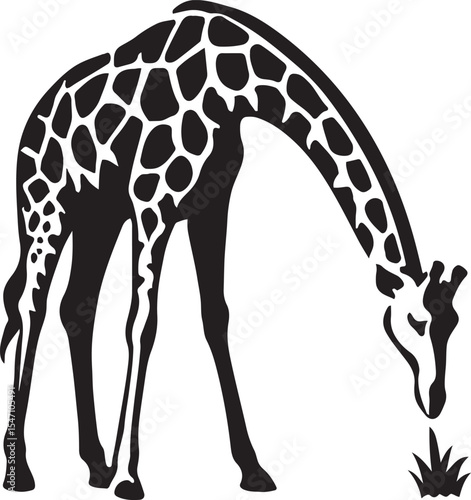 Silhouetted giraffe grazing in simple style, Tall animal feeding vector design
