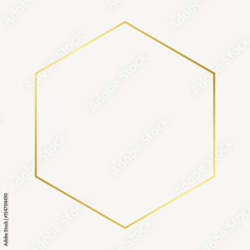 Hexagonal gold frame vector